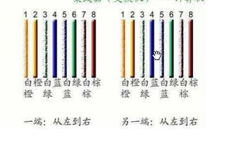 TCL多媒體盒網(wǎng)線接法全攻略 輕松實(shí)現(xiàn)網(wǎng)絡(luò)連接